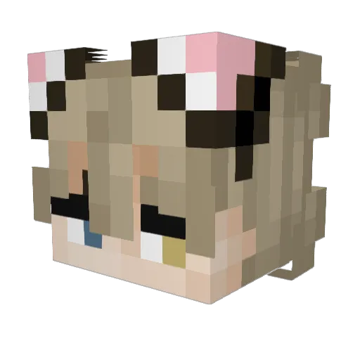 c5tiz Minecraft avatar head, 3D render