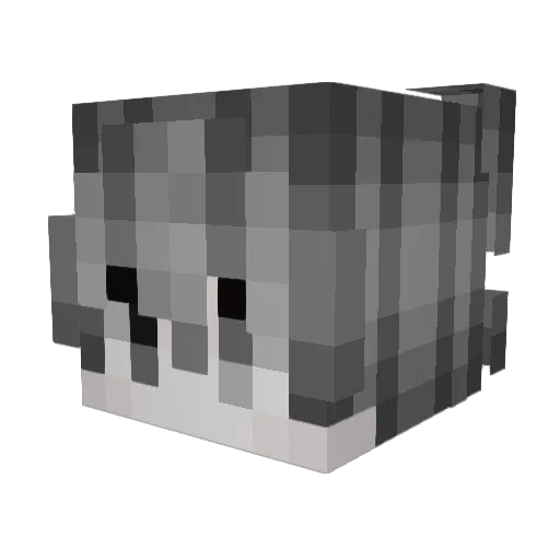 c8din Minecraft avatar head, 3D render