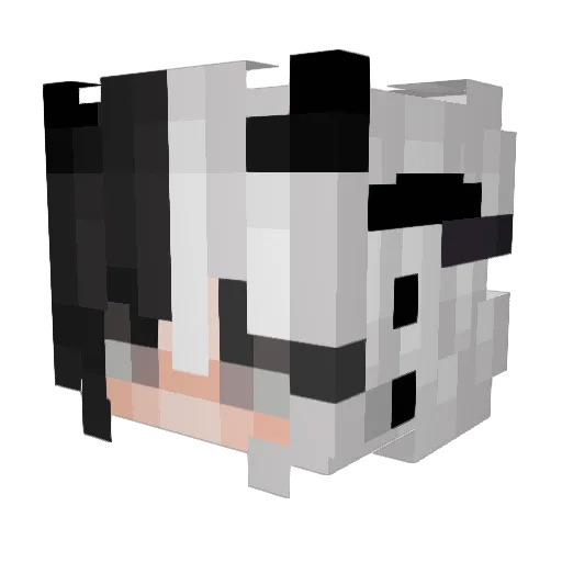 c8isdumb Minecraft avatar head, 3D render