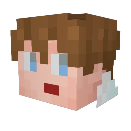 cAce115 Minecraft avatar head, 3D render