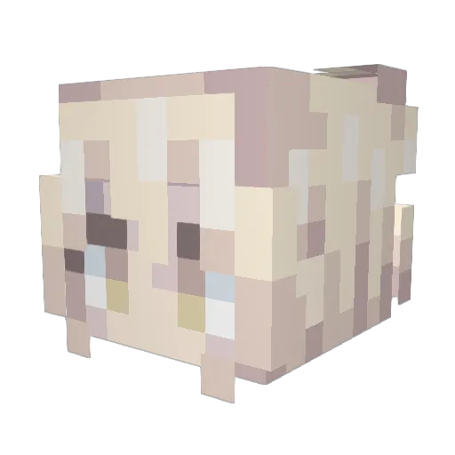cGZU Minecraft avatar head, 3D render