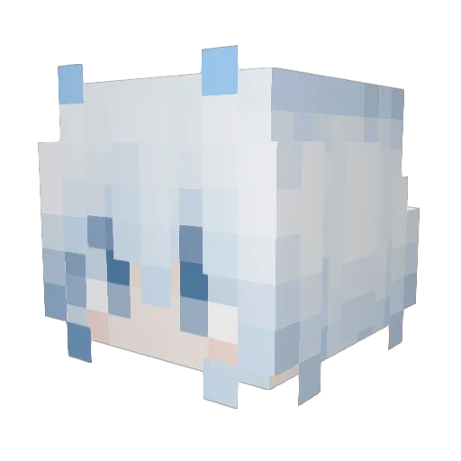 cIRc1eShArK Minecraft avatar head, 3D render