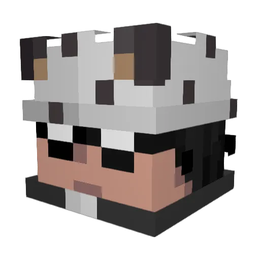 cJDapickle Minecraft avatar head, 3D render