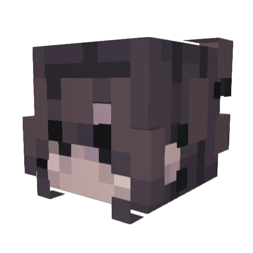 cPlxnk Minecraft avatar head, 3D render