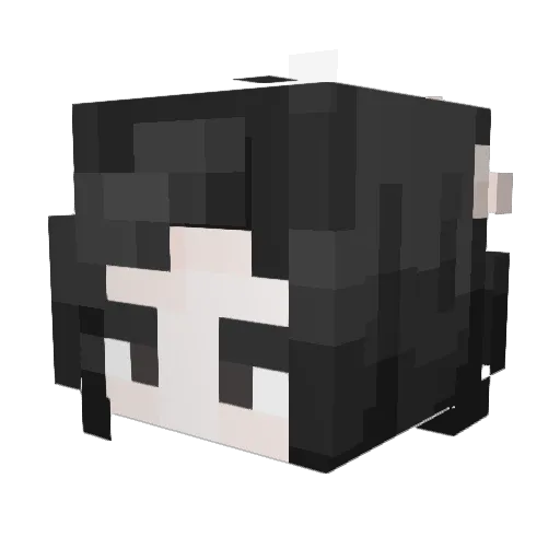 cRyou00 Minecraft avatar head, 3D render