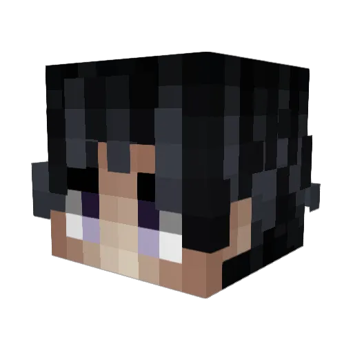 cSangui Minecraft avatar head, 3D render