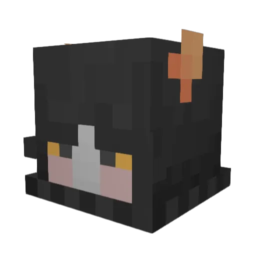 c_Geneticist Minecraft avatar head, 3D render