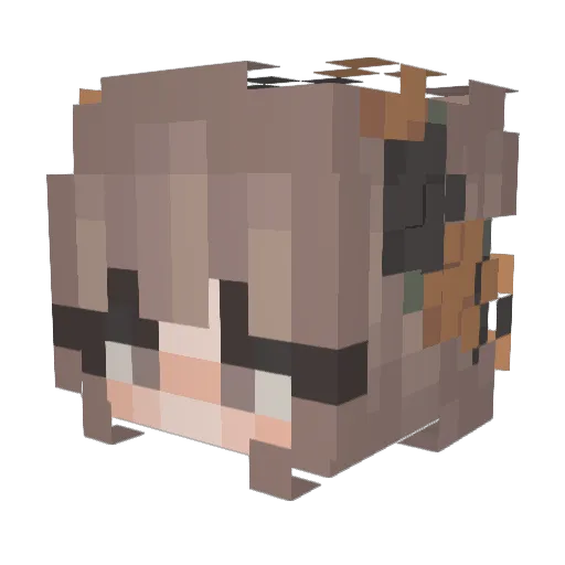 c_Ioud Minecraft avatar head, 3D render