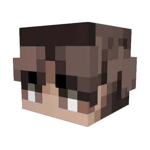 c_Tom Minecraft avatar head, 3D render