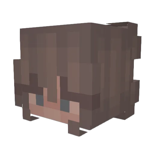 c_assidy Minecraft avatar head, 3D render