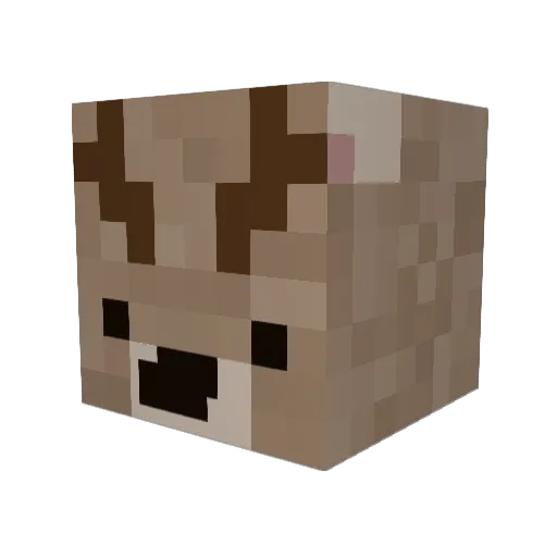 c_braiden Minecraft avatar head, 3D render