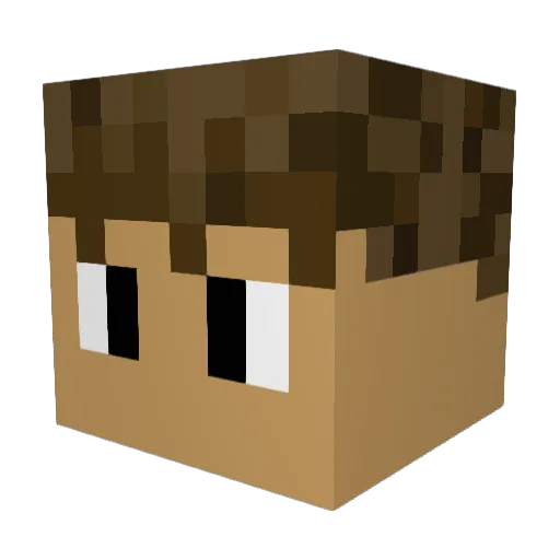 c_duck17 Minecraft avatar head, 3D render