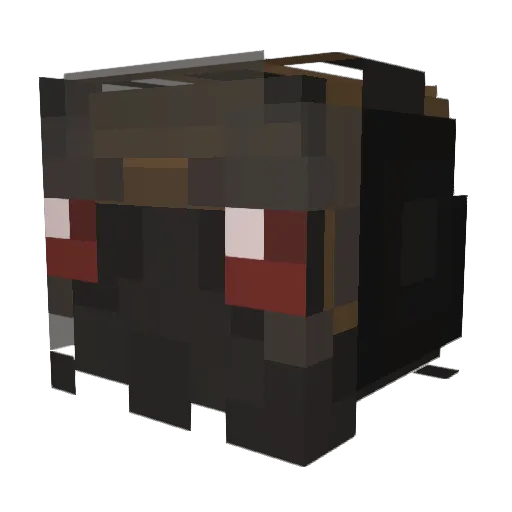 c_hoco Minecraft avatar head, 3D render