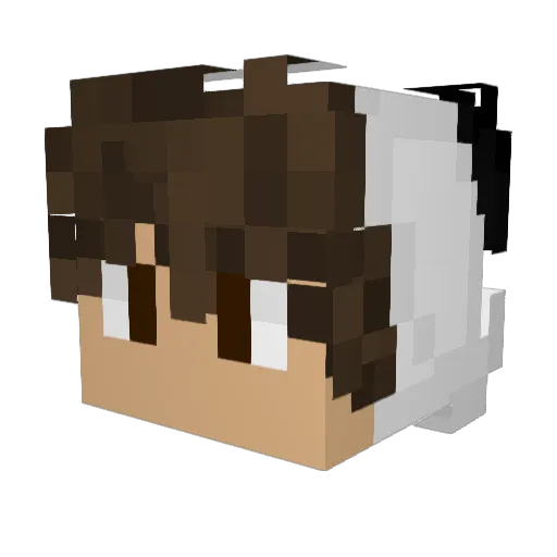 c_hoi Minecraft avatar head, 3D render