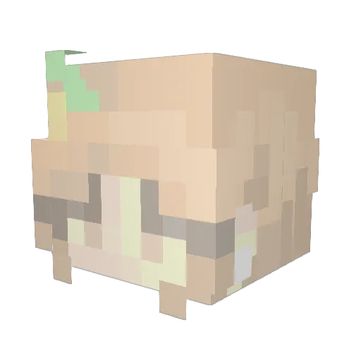 c_lown_ Minecraft avatar head, 3D render