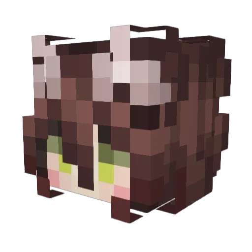 c_versicolor Minecraft avatar head, 3D render