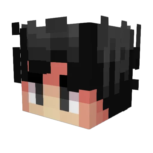 ca101 Minecraft avatar head, 3D render
