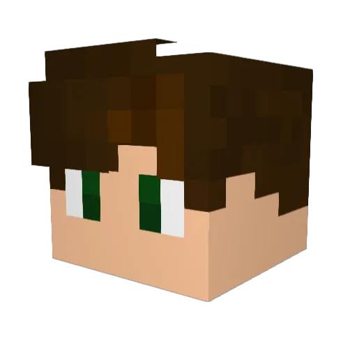 ca33r0n1 Minecraft avatar head, 3D render