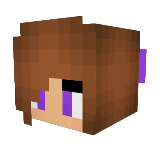 caBOSE1337 Minecraft avatar head, 3D render