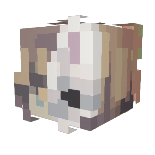 caaatlol Minecraft avatar head, 3D render
