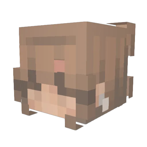 caadencec Minecraft avatar head, 3D render