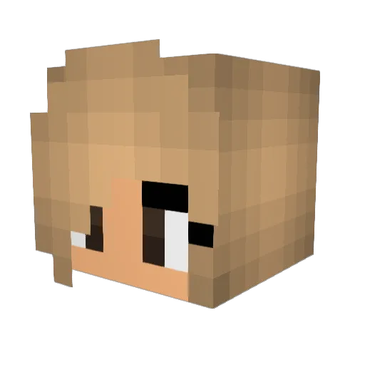 caamo1 Minecraft avatar head, 3D render