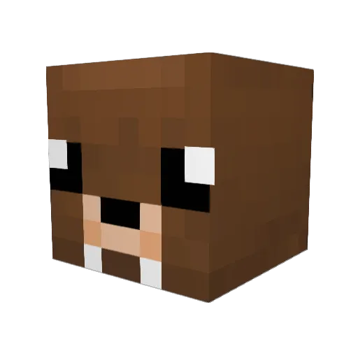 caasinoix Minecraft avatar head, 3D render
