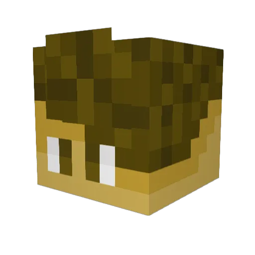 cabbage_doggo Minecraft avatar head, 3D render