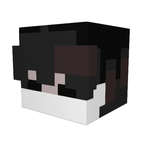 cabel24 Minecraft avatar head, 3D render