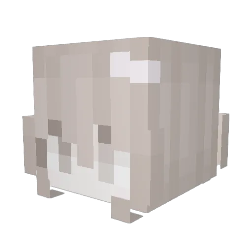 cabilinha Minecraft avatar head, 3D render