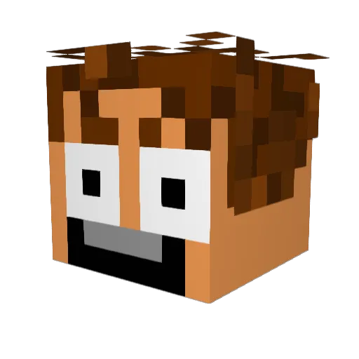 caca_pipi_prout Minecraft avatar head, 3D render