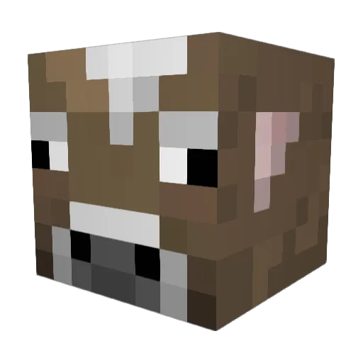 cacaowboy Minecraft avatar head, 3D render