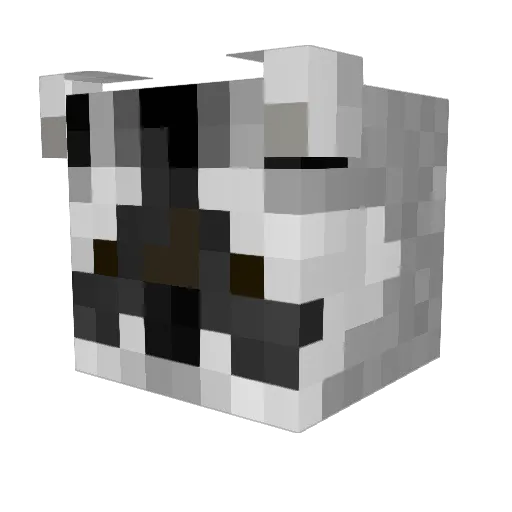 cacapoopoo Minecraft avatar head, 3D render