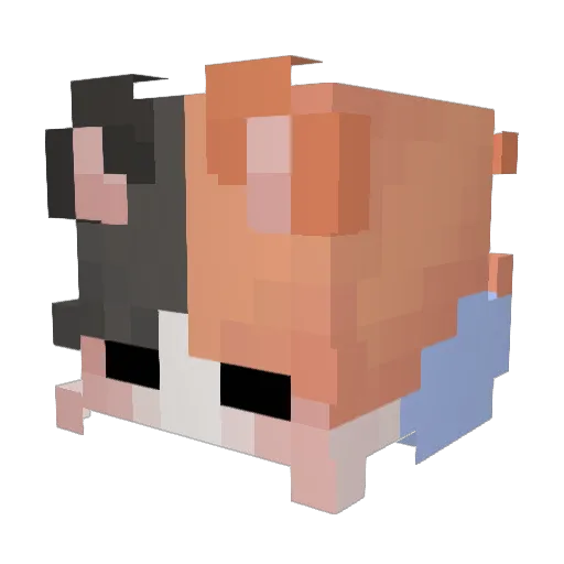 cacau205 Minecraft avatar head, 3D render