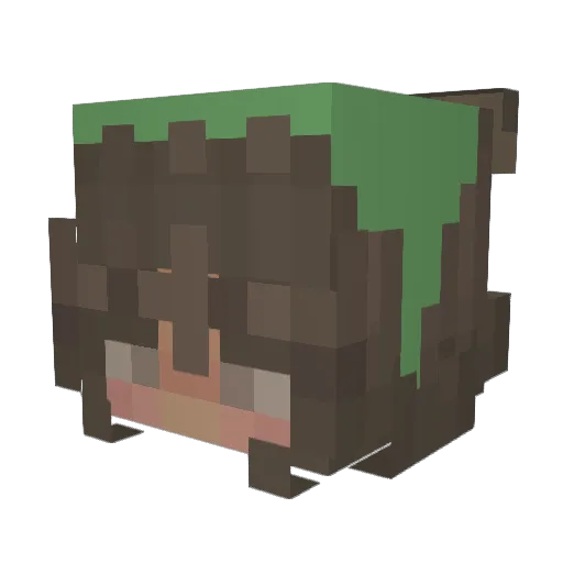 cacevans Minecraft avatar head, 3D render