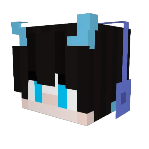 cache4856 Minecraft avatar head, 3D render