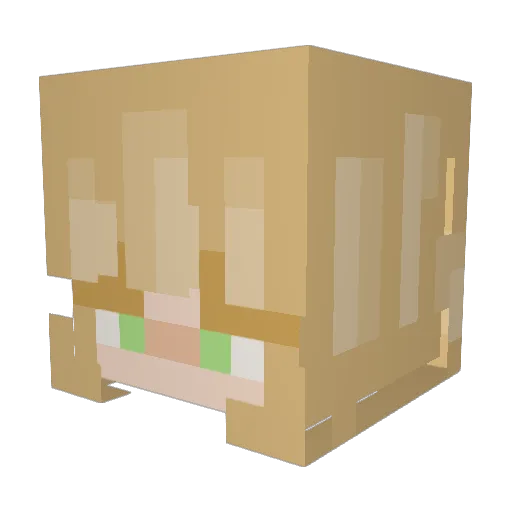 cactojuice Minecraft avatar head, 3D render