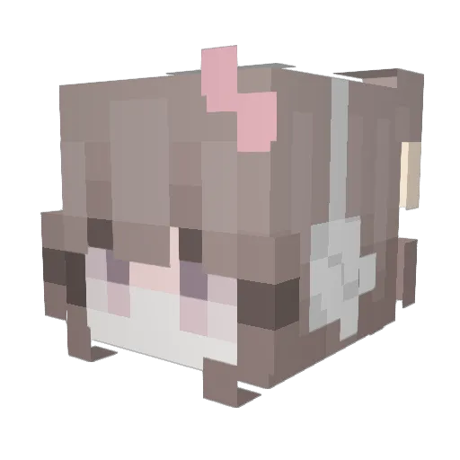 cactus666 Minecraft avatar head, 3D render