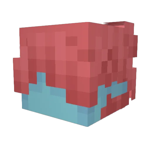 cactus_lol_ Minecraft avatar head, 3D render