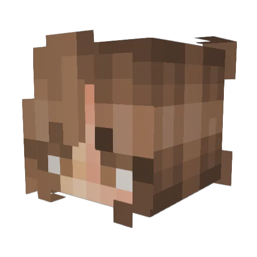 cactusflower91 Minecraft avatar head, 3D render