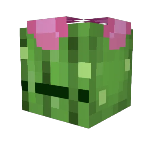 cactusfrfr Minecraft avatar head, 3D render