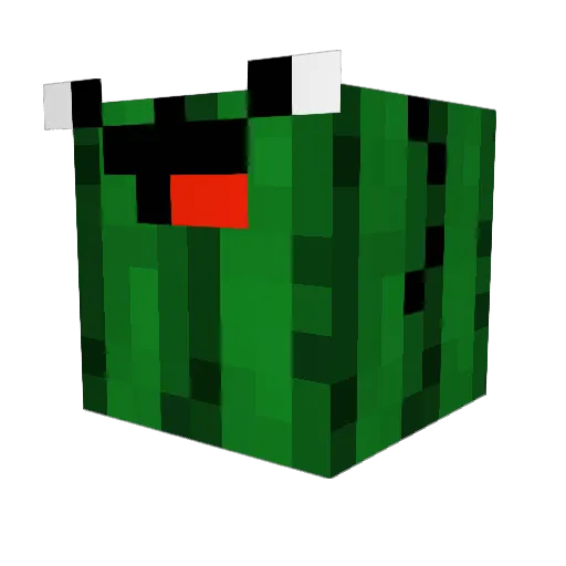 cactusman420 Minecraft avatar head, 3D render