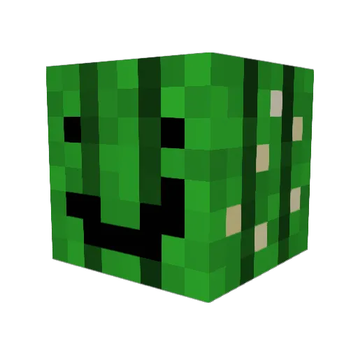 cactustz Minecraft avatar head, 3D render