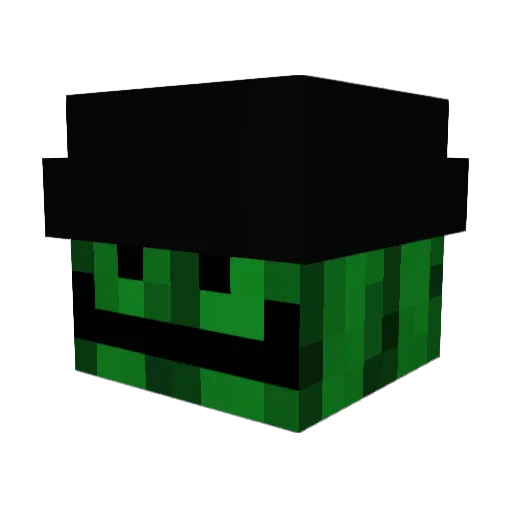 cactuswhisperer3 Minecraft avatar head, 3D render