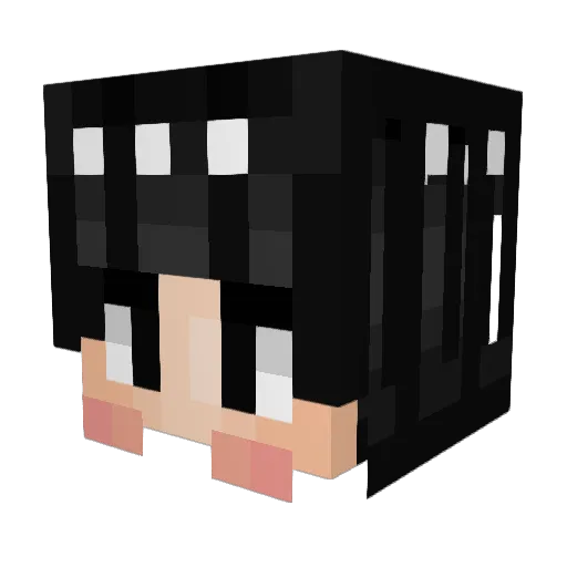 cadams22 Minecraft avatar head, 3D render