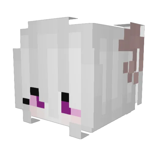cadancey Minecraft avatar head, 3D render