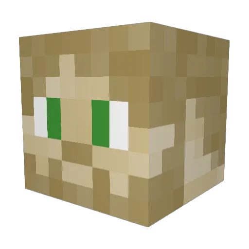 caden_heinze Minecraft avatar head, 3D render