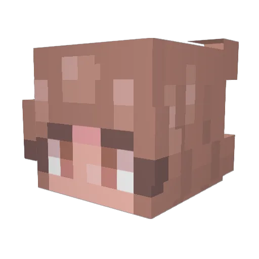 cadluvsdogs Minecraft avatar head, 3D render