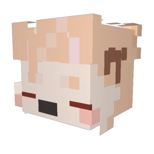 cae_mp4 Minecraft avatar head, 3D render