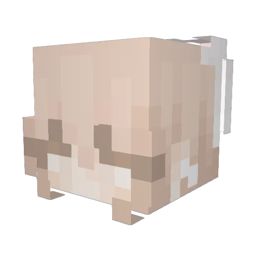 caelestial Minecraft avatar head, 3D render